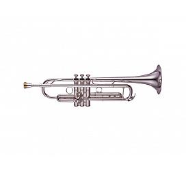 Yamaha YTR-8335RGS труба 