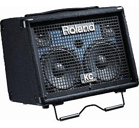 Roland KC110 