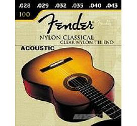 Fender 100 