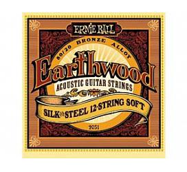 Ernie Ball 9-46 Earthwood P02051 