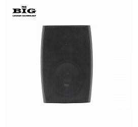 Big MSB810-8Ohm/100V 180W BLACK