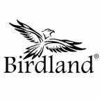 Новый бренд духовых инструментов Birdland!