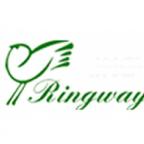 Синтезатори та цифрові піаніно бренду Ringway за самою доступною ціною!