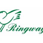 Супер предложение на товары Ringway!