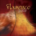 На складе гитары Flamenco!