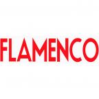 Гитары Flamenco – уже на складе!