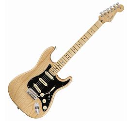 Fender AMERICAN PROFESSIONAL STRATOCASTER MN NATURAL 