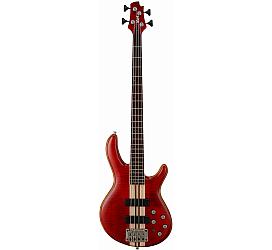 Cort A4 Plus FMMH Open Pore Black Cherry