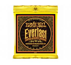 Ernie Ball 13-56 P02554 