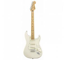 Fender PLAYER STRATOCASTER MN PWT