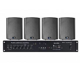 Sky Sound WS-3080 