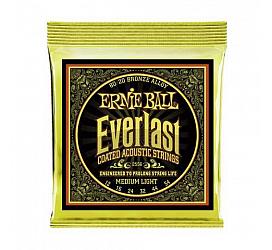 Ernie Ball P02556 