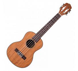 Prima M381T Solid Cedar / Rosewood