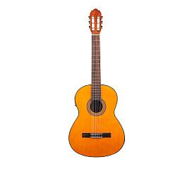 VGS E-Classic Student 4/4 Natural