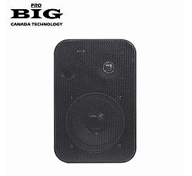 Big MSB401 BLACK 50W 8Ohm/100V 