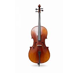 Prima Prima 300 4/4 (комплект) 