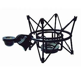 SoundKing SKEE 209 B