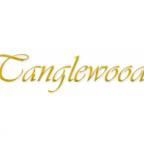 Нове надходження! Гітари компанії Tanglewood!