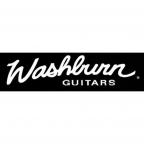Новая партия акустических гитар Washburn!