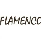 Чехлы для гитар Flamenco по самой выгодной цене!