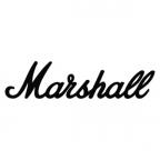 Поступление Marshall DSL