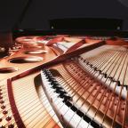 Як вибрати акустичний рояль