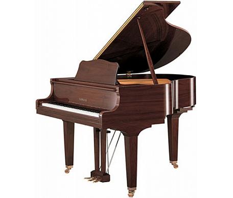 Yamaha GC2 SAW рояль 