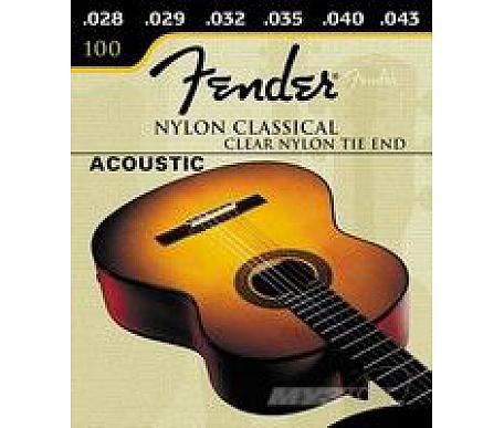 Fender 100 