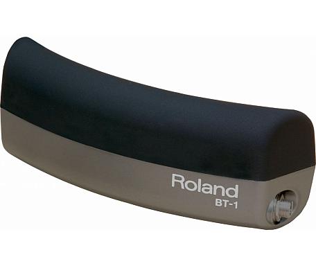 Roland BT1 