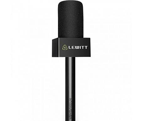Lewitt INTERVIEWER 