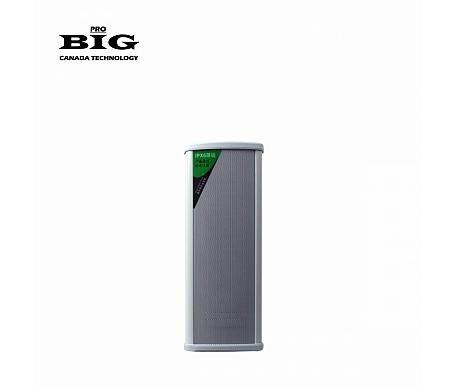 Big TOWER60 + 2 COXIAL TWEETERS 