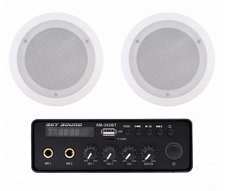 Sky Sound SMС-3001 