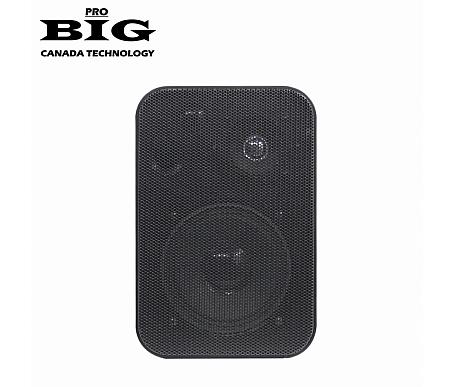 Big MSB401 BLACK 50W 8Ohm/100V 