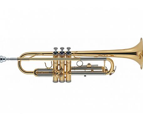 J.Michael TR-200 (P)