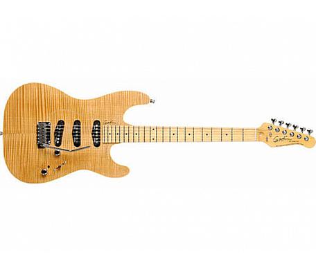 Godin Passion RG3 Natural Flame MN with Tour Case