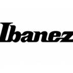 Поступление новинок от IBANEZ !