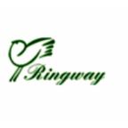 Новые модели клавишных от Ringway уже в продаже !