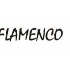 Новое поступление гитар Flamenco !