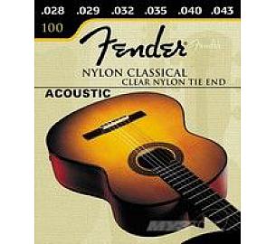 Fender 100 
