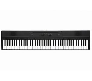 Korg Liano L1 BLACK