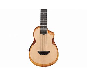 Ibanez AUC10E OPN 